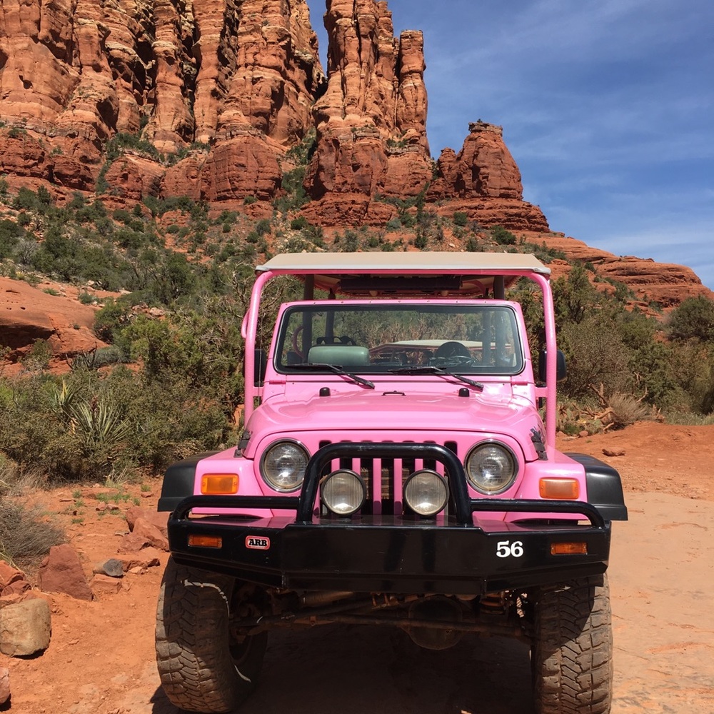 Meet your Posher, Hattie